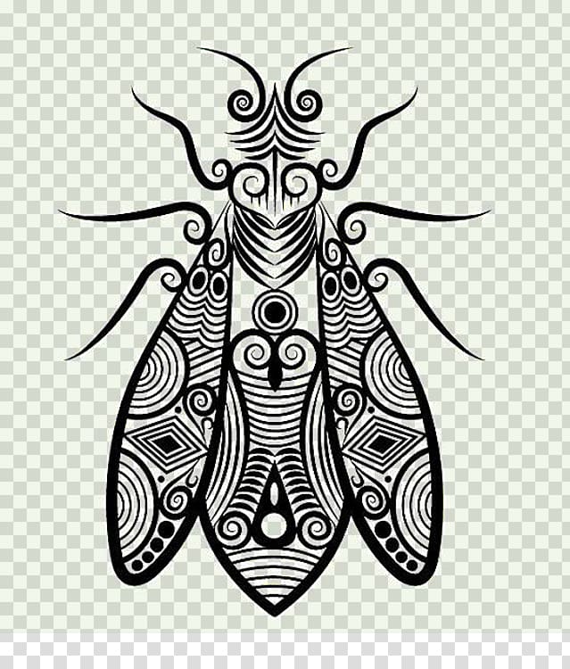 Drawing Line art , Cockroach illustration transparent background PNG clipart