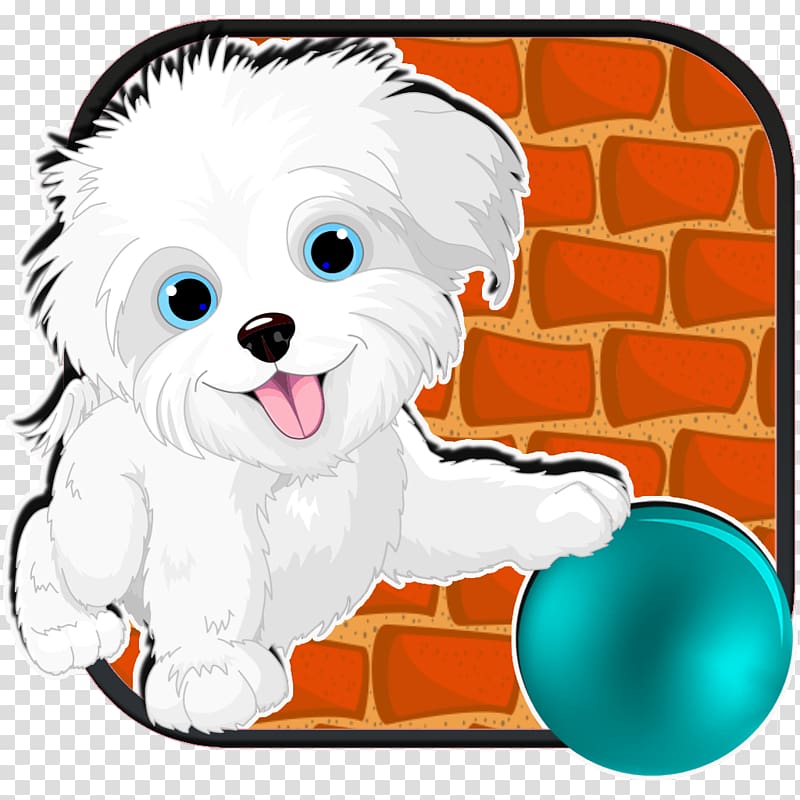 Yorkshire Terrier Puppy Companion dog Dog breed, yorkie transparent background PNG clipart