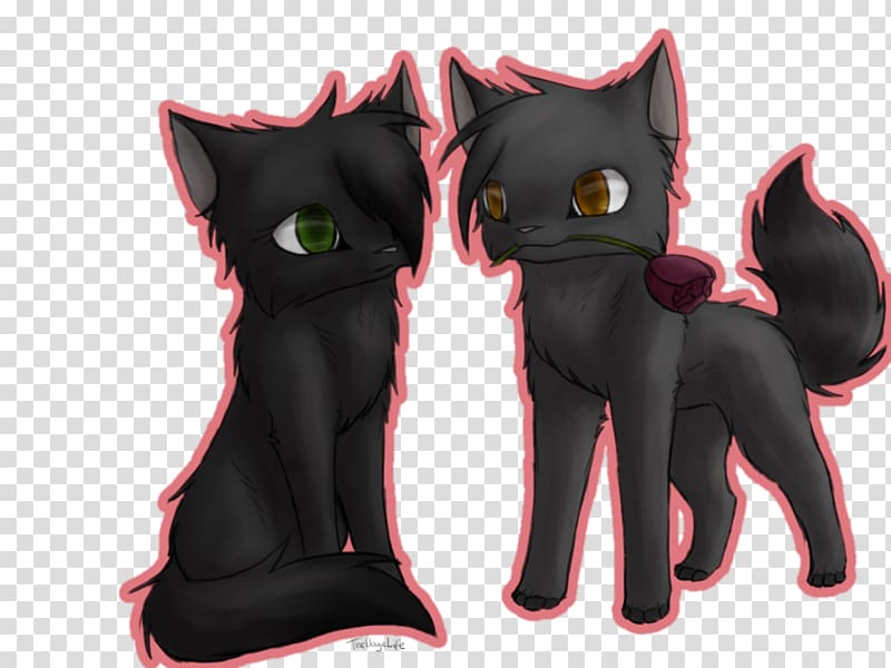 Kitten Cat The Fourth Apprentice Hollyleaf Warriors, caramel balayage transparent background PNG clipart