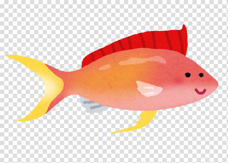 いらすとや Fish Orange Animal, prp transparent background PNG clipart