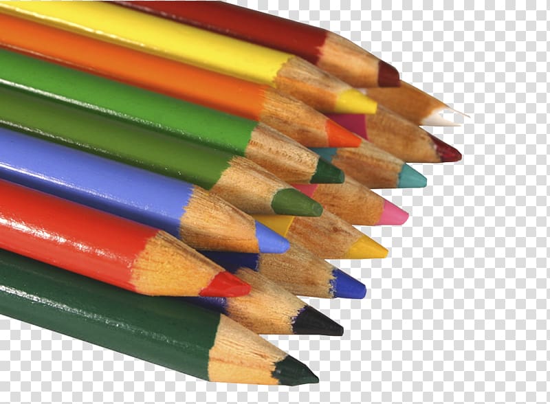 Visual arts Artist Drawing Colored pencil, Colorful pencil transparent background PNG clipart