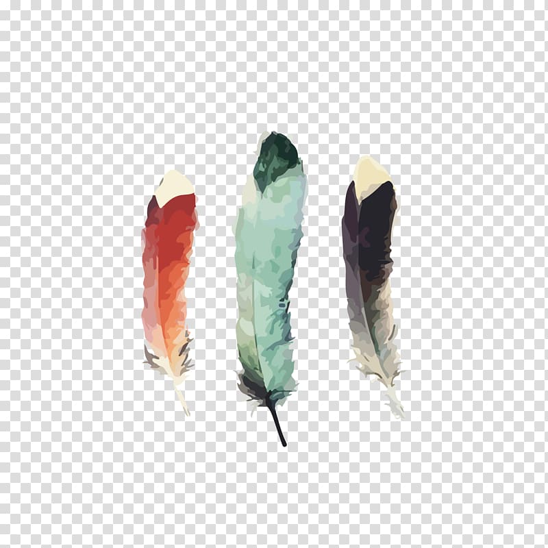 Watercolour Techniques Amy Hamilton Design + Illustration Watercolor painting Feather, Watercolor feathers,Art Exhibition transparent background PNG clipart