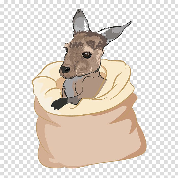 Kangaroo Fauna Fur Snout Wildlife, kangaroo transparent background PNG clipart