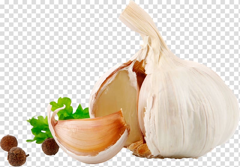 Garlic transparent background PNG clipart