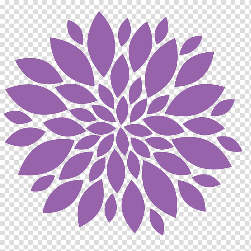 Flower , Chrysanthemum transparent background PNG clipart