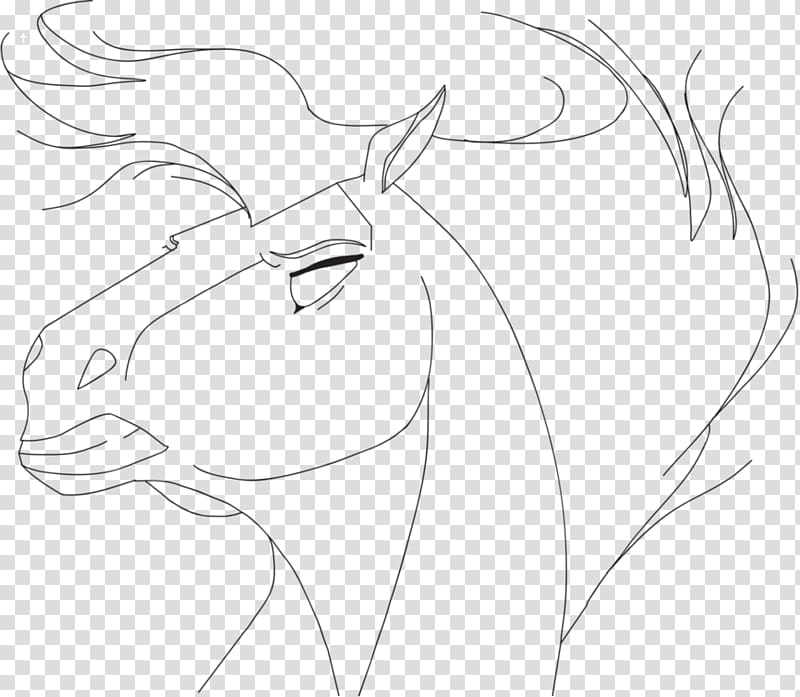 Horse Line art Eye Sketch, Spirit stallion transparent background PNG clipart