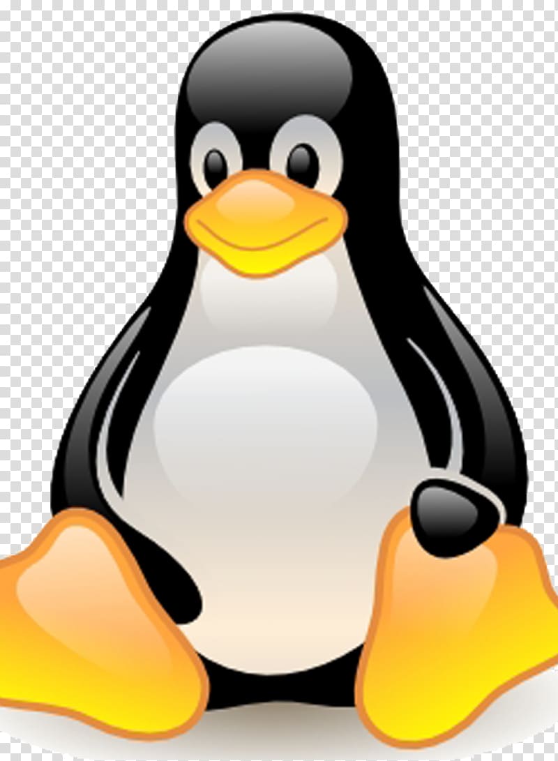 Linux Computer Software Operating Systems Windows Server, linux transparent background PNG clipart