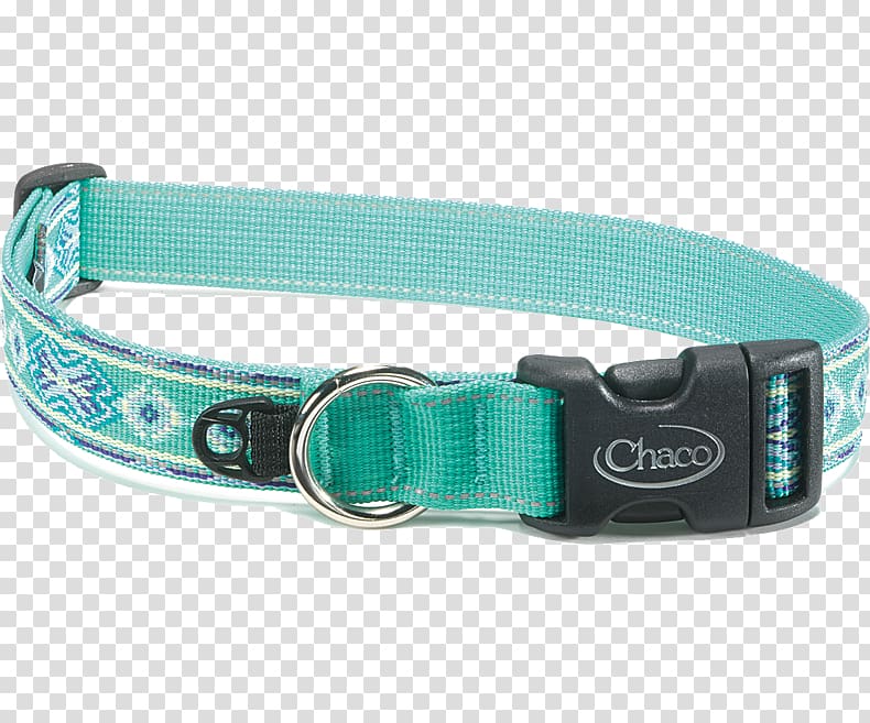 Leash Dog collar Pet, Dog Collars transparent background PNG clipart