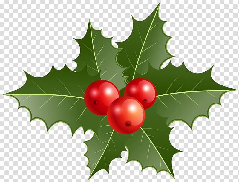 mistletoe , Common holly Christmas decoration , Christmas Holly transparent background PNG clipart