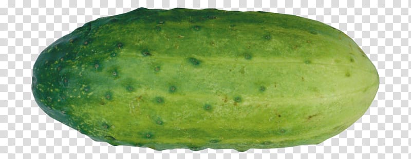 Cucumber transparent background PNG clipart