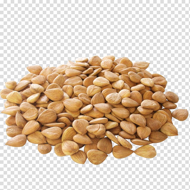 Apricot kernel Nut Almond Seed, almond transparent background PNG clipart