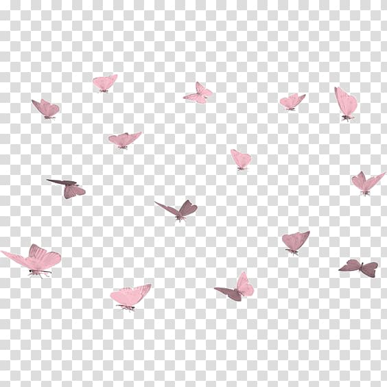 Butterfly , Pink Butterfly Print transparent background PNG clipart