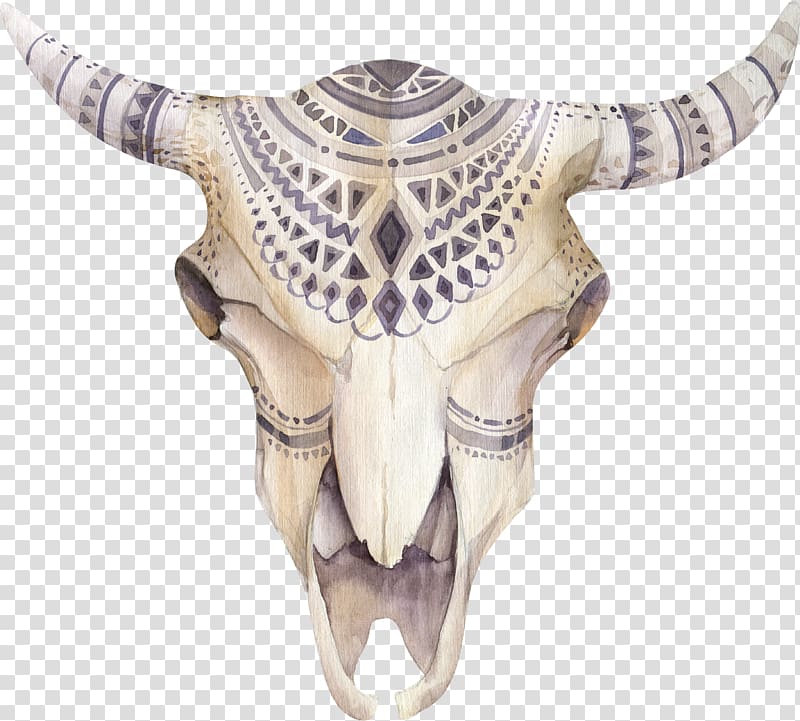 gray animal skull illustration, Cattle T-shirt Skull Illustration, Skull transparent background PNG clipart