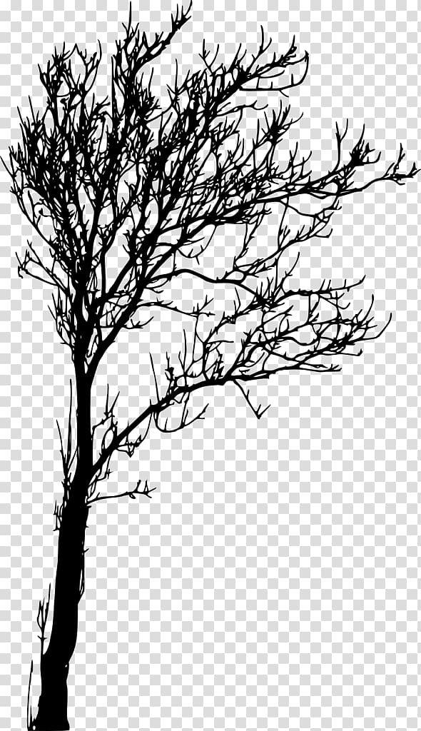 Twig Tree Branch, tree transparent background PNG clipart