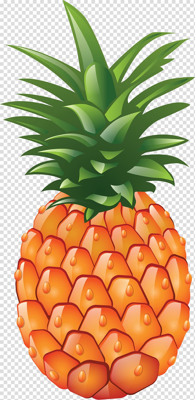 Pineapple transparent background PNG clipart