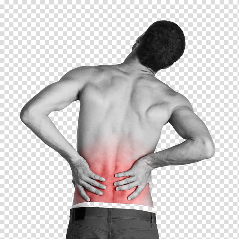 Low back pain Tiger Balm Human back Physical therapy, back pain transparent background PNG clipart