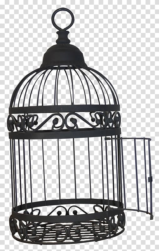 Birdcage , Bird transparent background PNG clipart