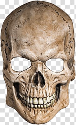 gray and brown human skull, White Mask Skull transparent background PNG clipart