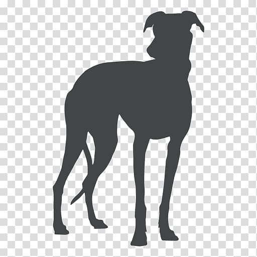 Great Dane Italian Greyhound Spanish greyhound Sloughi, dog Painting transparent background PNG clipart