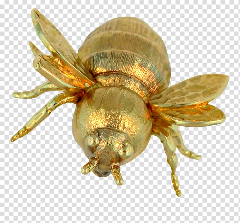 Bee Insect , Golden Bee transparent background PNG clipart