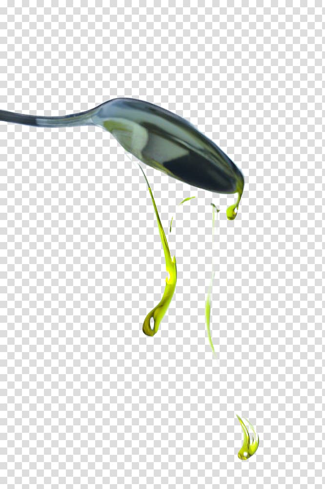 Olive oil Cooking oil, olive oil transparent background PNG clipart