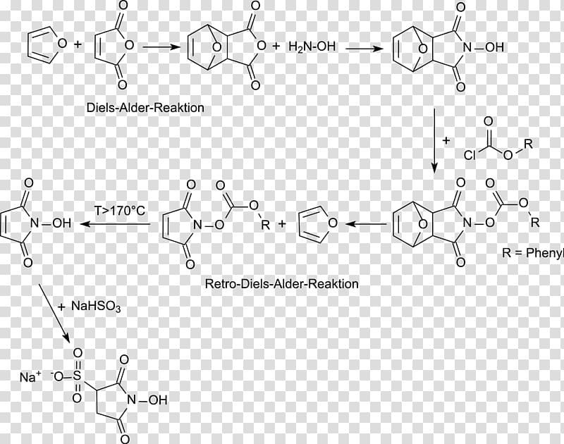 N-Hydroxysulfosuccinimide sodium salt N-Hydroxysuccinimide N-Hydroxymaleinimid Sodium metabisulfite Diels–Alder reaction, alder transparent background PNG clipart