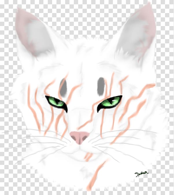 Whiskers Kitten Domestic short-haired cat Warriors, left eye transparent background PNG clipart