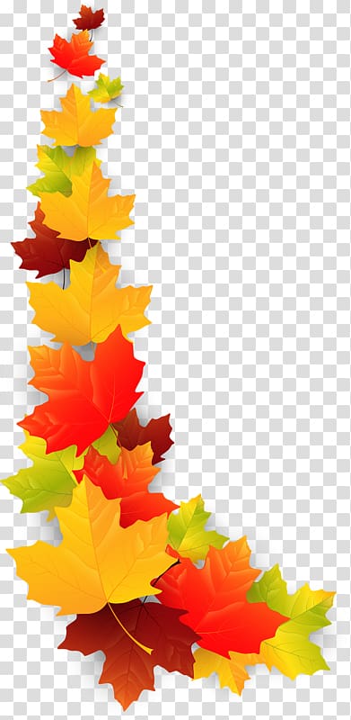 , Leaf transparent background PNG clipart