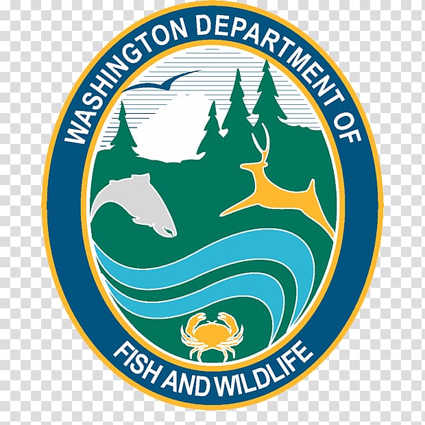 Washington Department of Fish & Wildlife United States Fish and Wildlife Service Fishing Hunting, Fishing transparent background PNG clipart