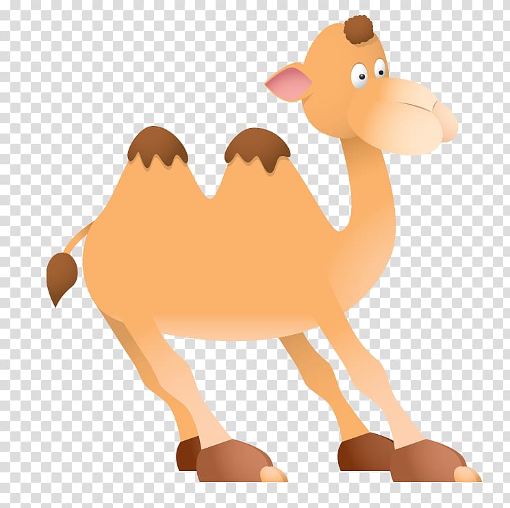 Dromedary Bactrian camel , others transparent background PNG clipart