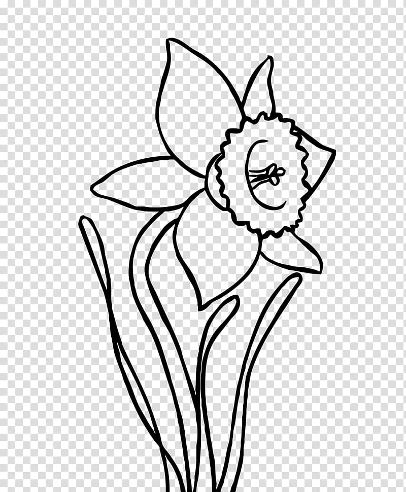 Coloring book Drawing Narcissus papyraceus , camomile transparent background PNG clipart