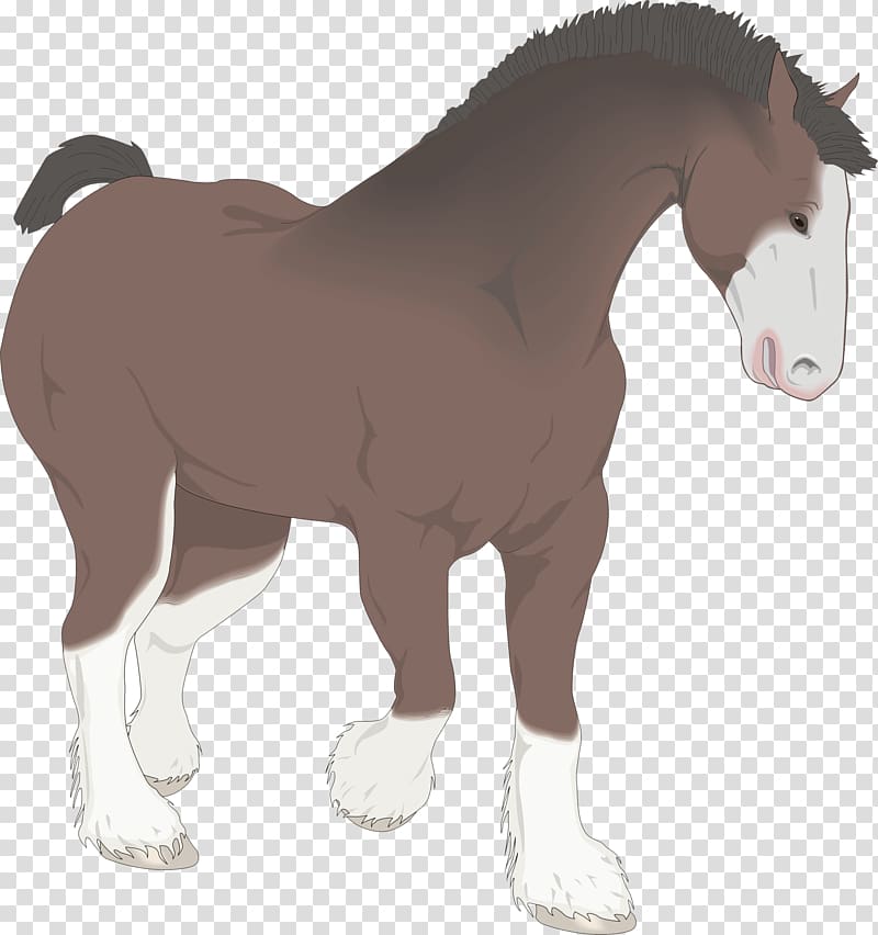 Clydesdale horse Mare Foal Drawing , others transparent background PNG clipart