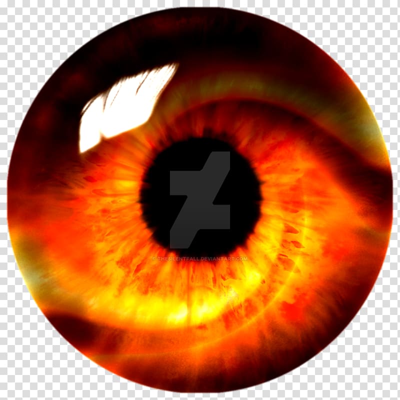 Eye Iris Red Organ, eyes transparent background PNG clipart
