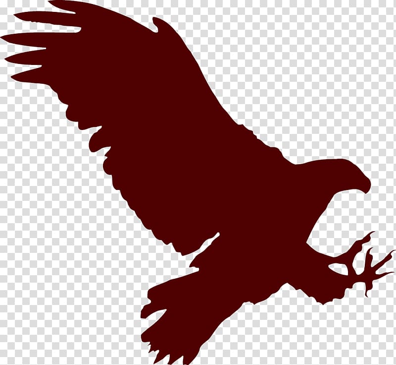 Bald Eagle Paper Silhouette, Flying eagle transparent background PNG clipart