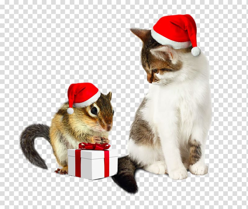 Santa Claus Chipmunk Christmas Humour Cat, Wearing Christmas hats Tom and Jerry transparent background PNG clipart