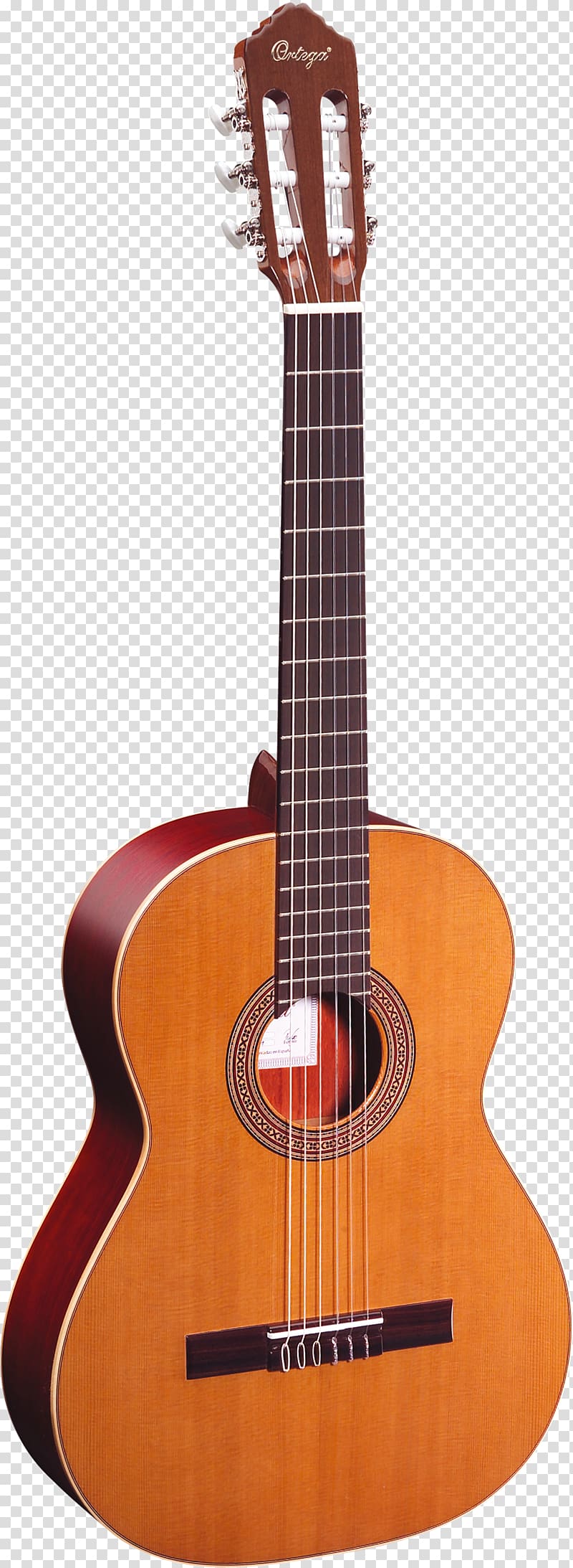 Acoustic-electric guitar Classical guitar Steel-string acoustic guitar, amancio ortega transparent background PNG clipart