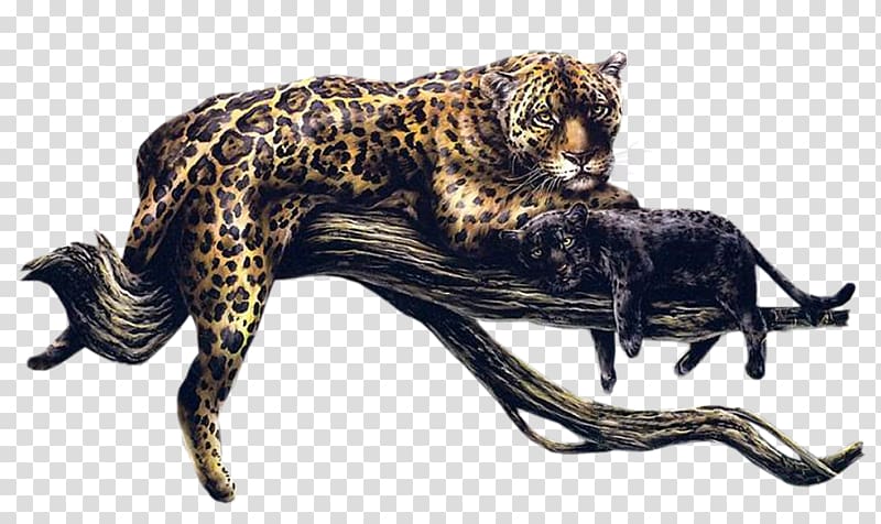 Leopard Cheetah Felidae Cat, leopard transparent background PNG clipart