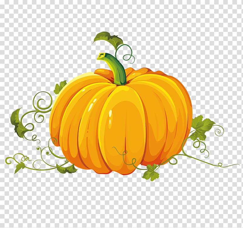 Pumpkin Autumn Harvest , Hand painted pumpkin Teng transparent background PNG clipart