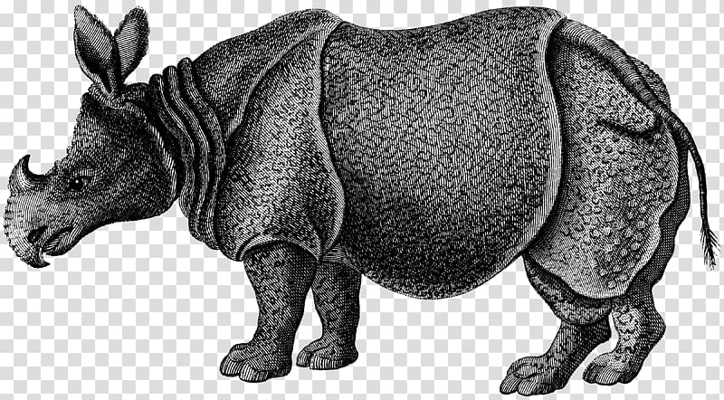 Rhinoceros Zoological Lectures Delivered at the Royal Institution; Tile Striped hyena Mammal, african rhino transparent background PNG clipart