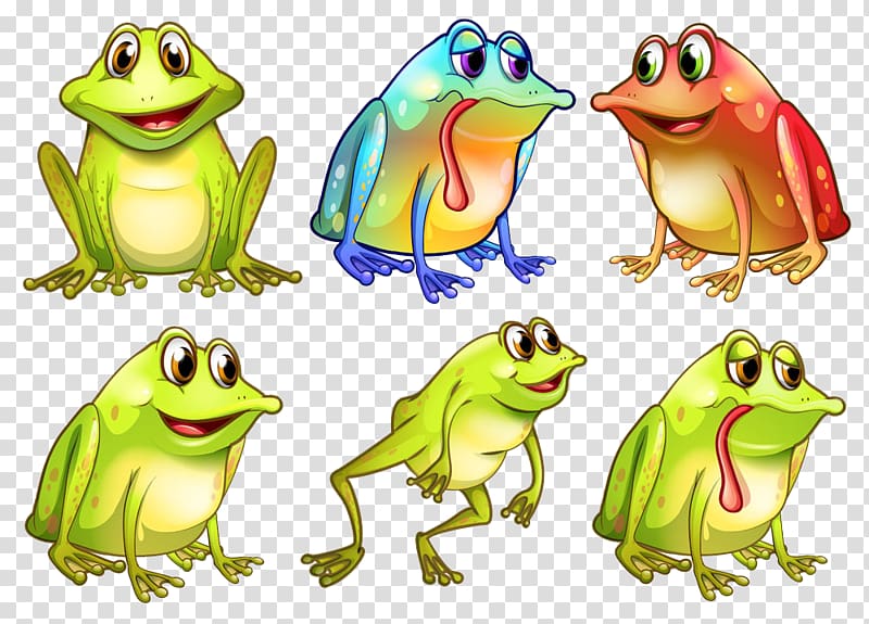 Edible frog Illustration, frog transparent background PNG clipart