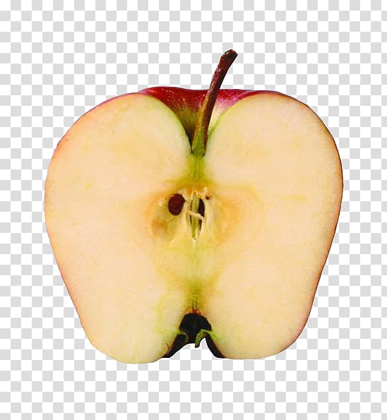Apple , Half apples transparent background PNG clipart