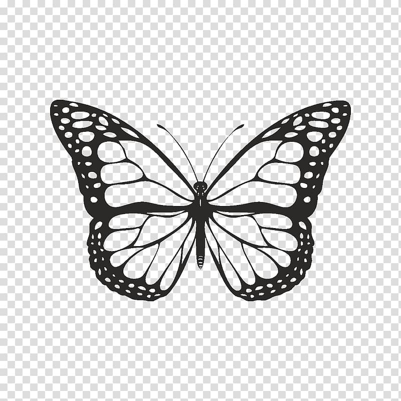 Butterfly Black and white , butterfly transparent background PNG clipart |  HiClipart