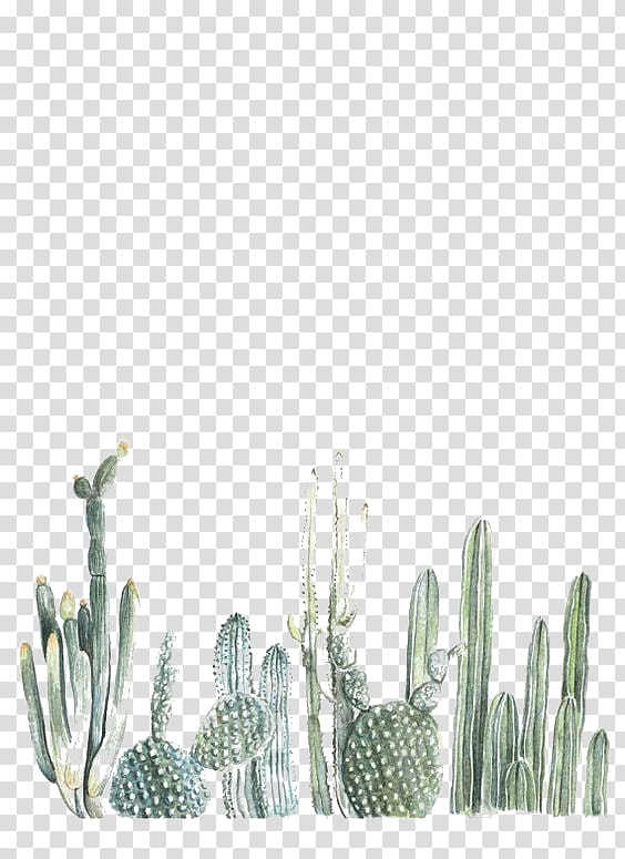 Cactaceae Paper Printing Painting Printmaking, cactus, green cactus plants transparent background PNG clipart