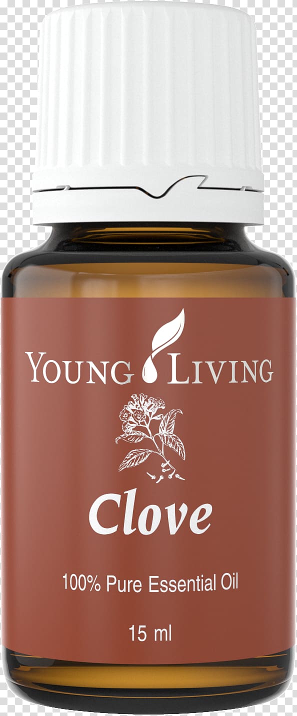 Young Living Essential oil Aromatherapy Frankincense, oil transparent background PNG clipart