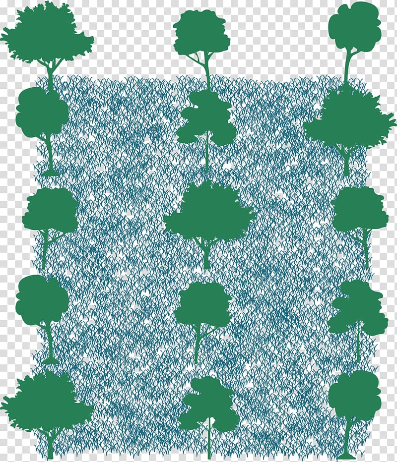 Tree Agroforestry Reforestation Agriculture, QUERCUS ILEX transparent background PNG clipart