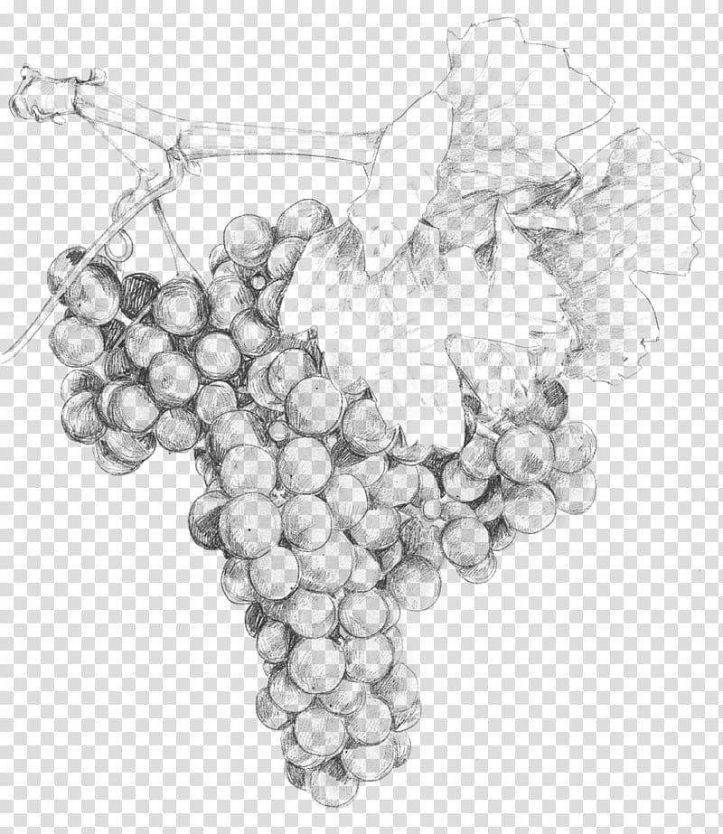 Grape Two Paddocks Pinot noir Wine /m/02csf, grape transparent background PNG clipart