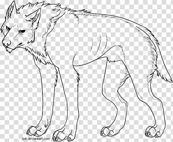 Line art Gray wolf Dire wolf Drawing Sketch, painting transparent background PNG clipart