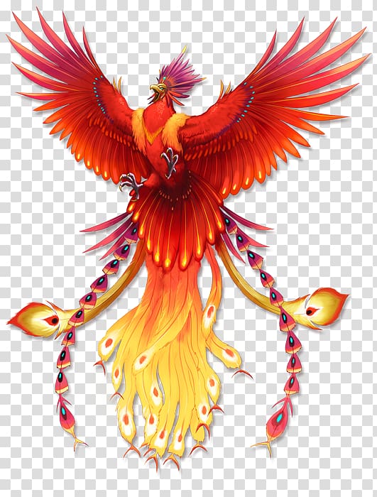 red and yellow phoenix illustration, Behance Drawing Graphic design, Phoenix transparent background PNG clipart