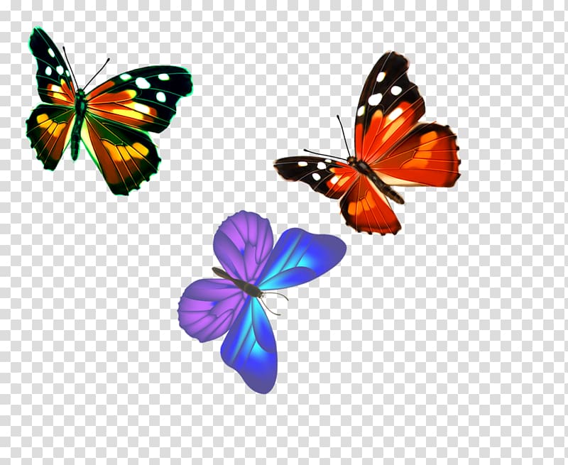 Monarch butterfly Nymphalidae Pattern, butterfly, butterflies ...
