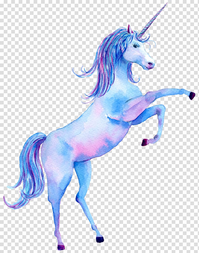 Unicorn HD Desktop 1080p Display resolution, unicorn transparent background PNG clipart